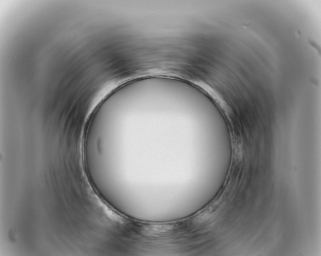 X0000095901294200801251216