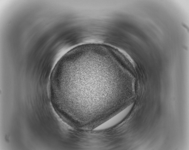 X0000095901295200801251216