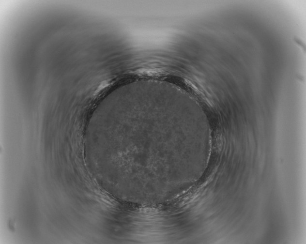 X0000095901297200801251215