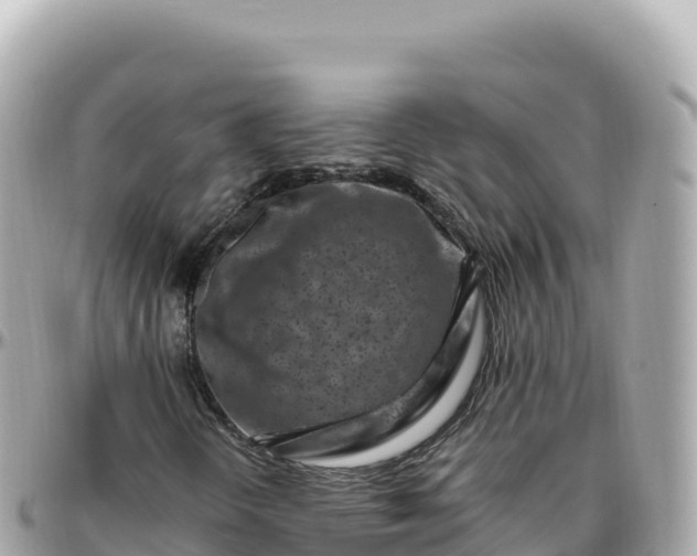 X0000095901298200801251215