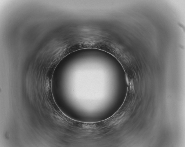 X0000095901299200801251215