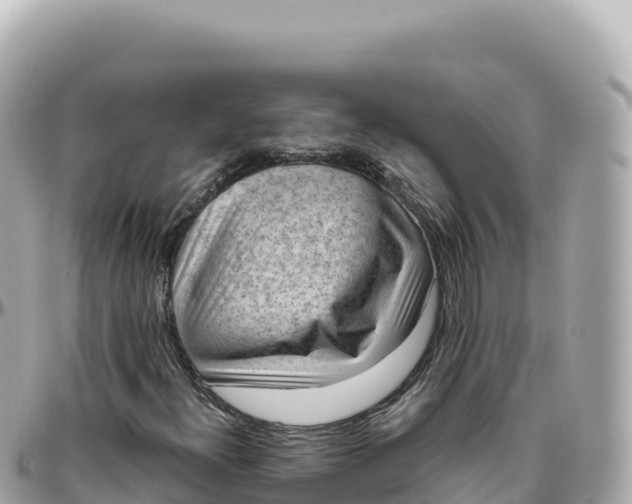 X0000095901300200801251215