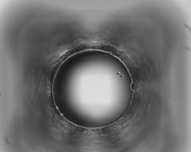 X0000095901301200801251215