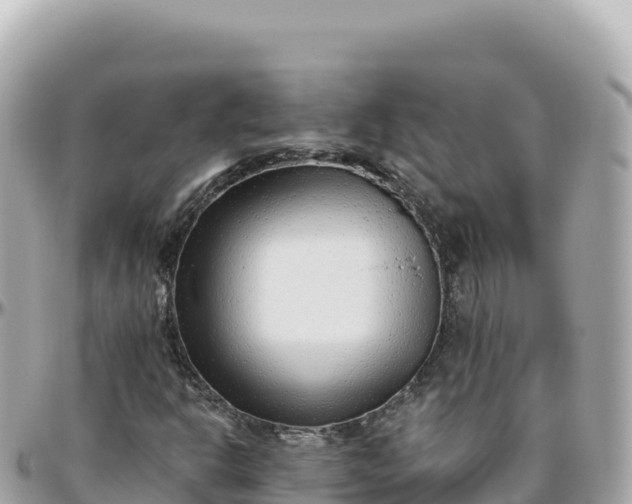 X0000095901302200801251215