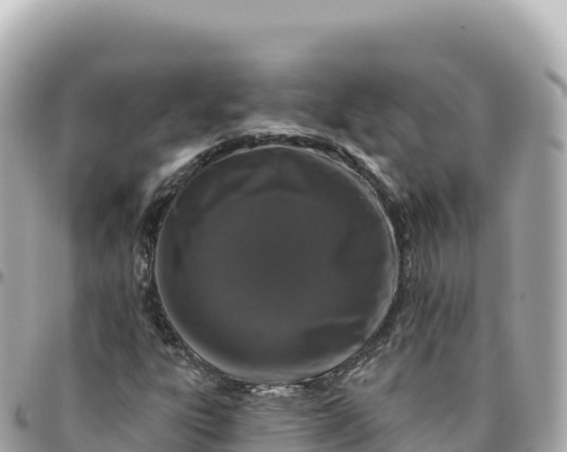 X0000095901303200801251215