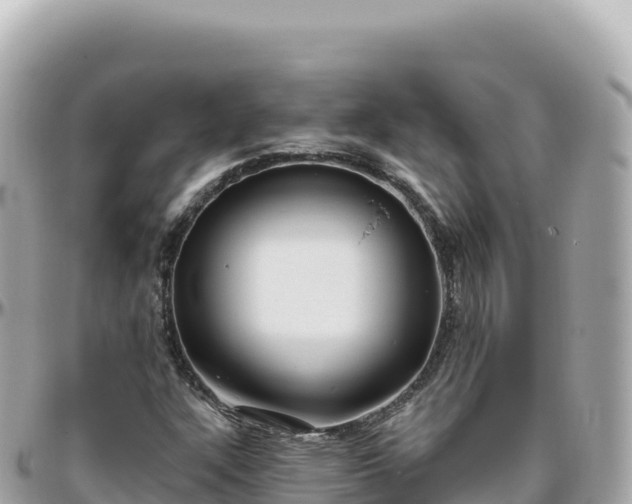 X0000095901304200801251215