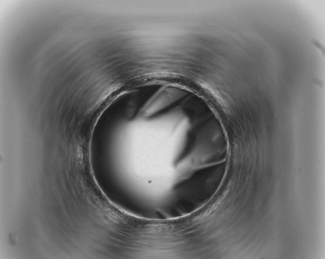 X0000095901305200801251215