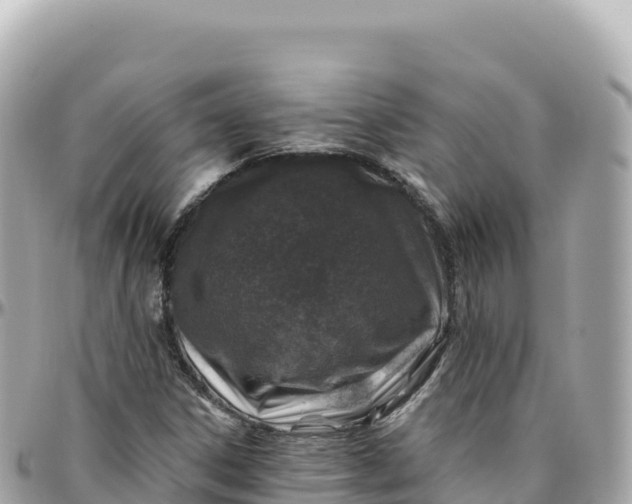 X0000095901306200801251215