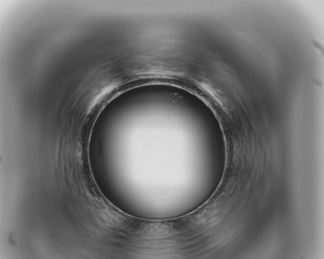 X0000095901307200801251215