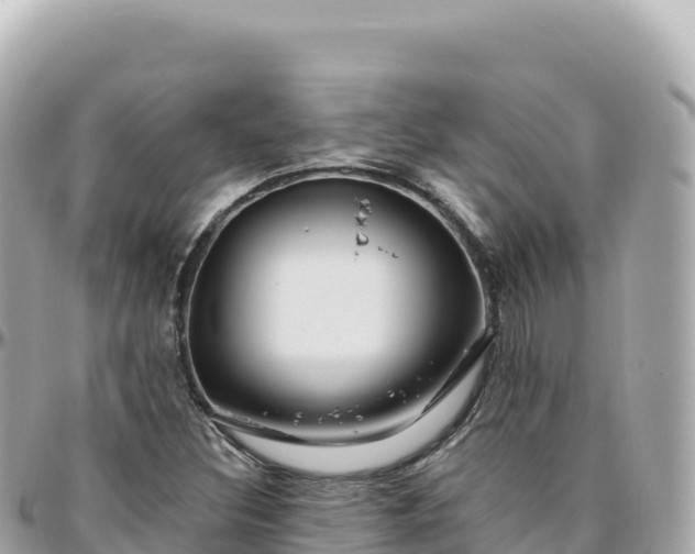 X0000095901308200801251216