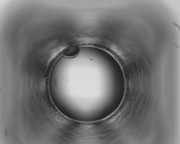 X0000095901309200801251216