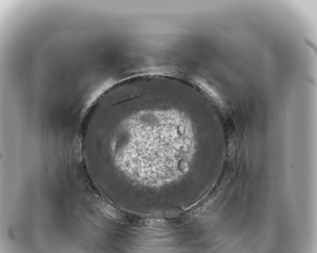 X0000095901310200801251216