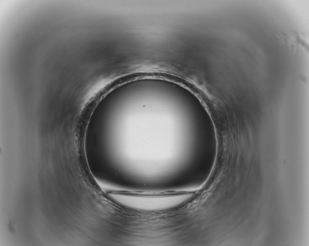 X0000095901311200801251216