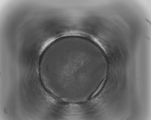 X0000095901312200801251216