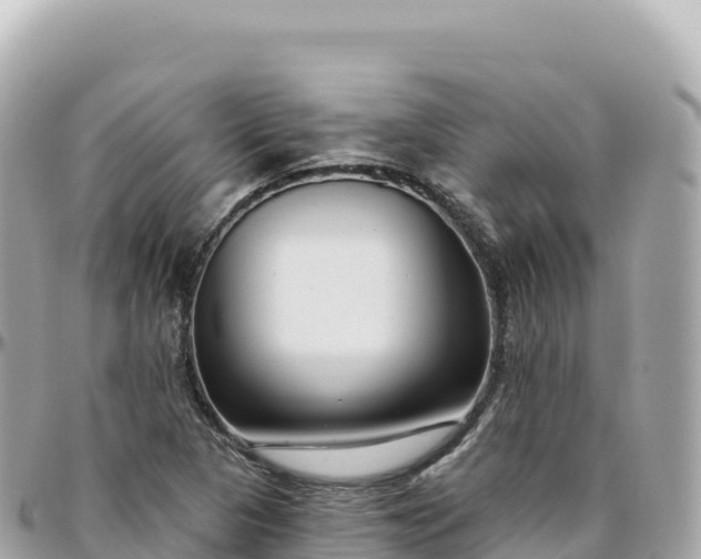 X0000095901313200801251216