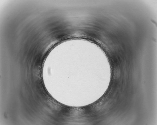 X0000095901314200801251216