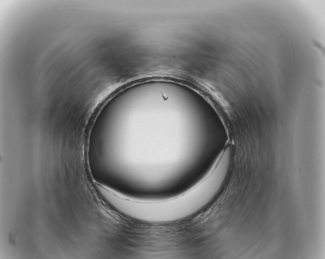 X0000095901316200801251216