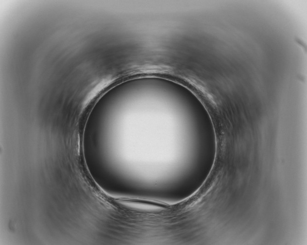 X0000095901317200801251216