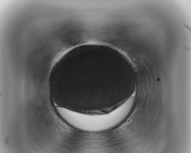 X0000095901319200801251216