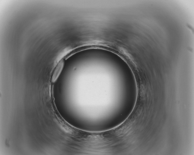 X0000095901320200801251216