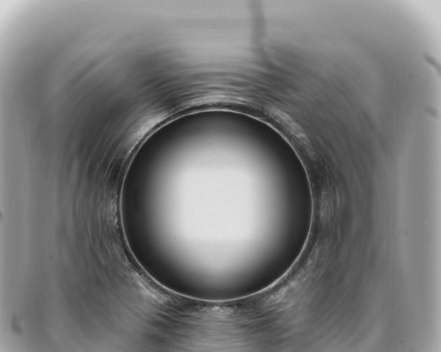 X0000095901321200801251216