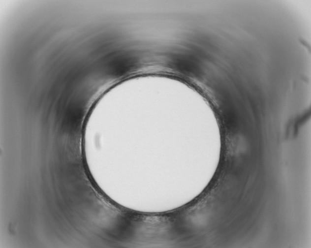 X0000095901322200801251216