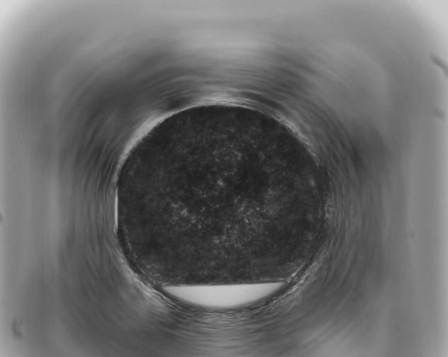 X0000095901323200801251216