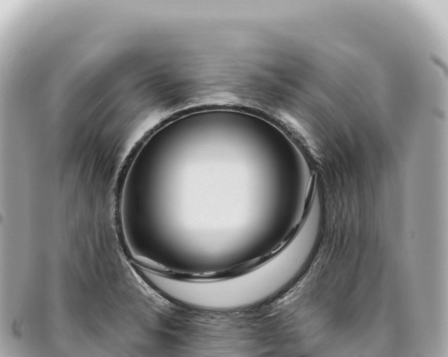 X0000095901326200801251216