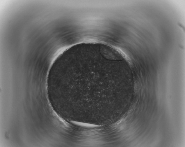 X0000095901327200801251216