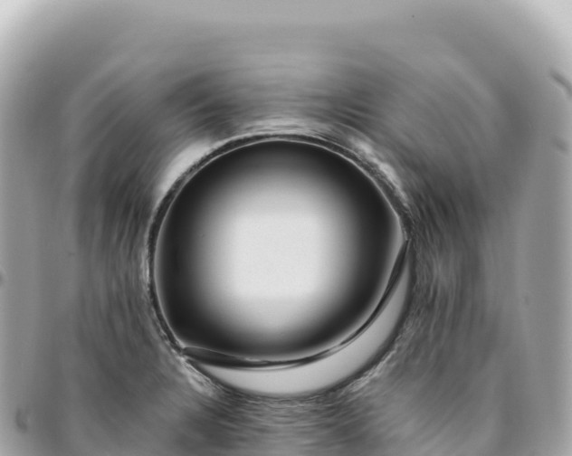 X0000095901328200801251216