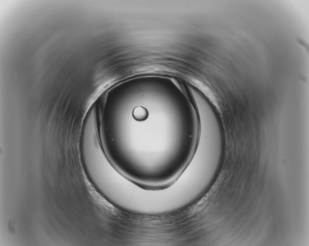 X0000095901330200801251216