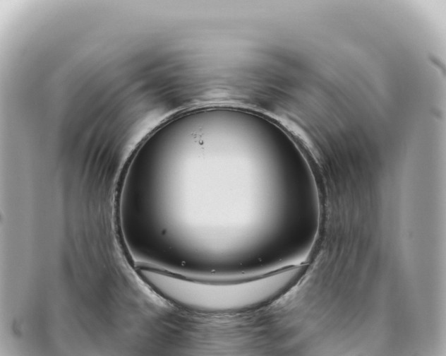 X0000095901333200801251216