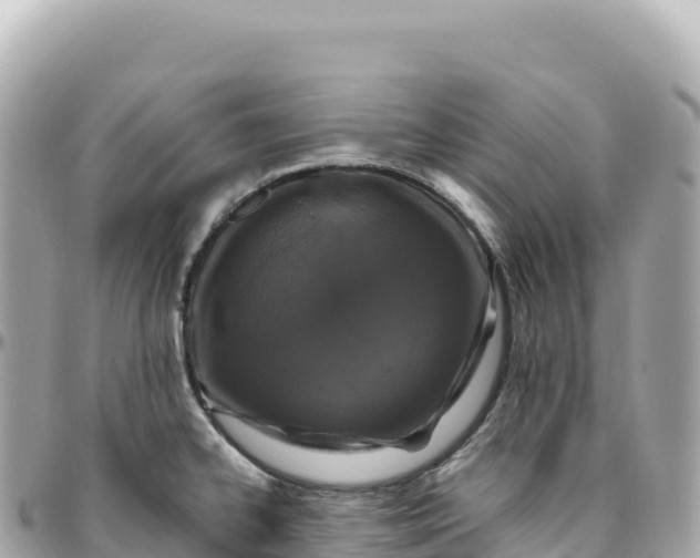 X0000095901334200801251216