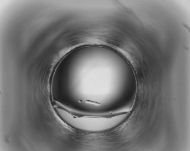 X0000095901335200801251216