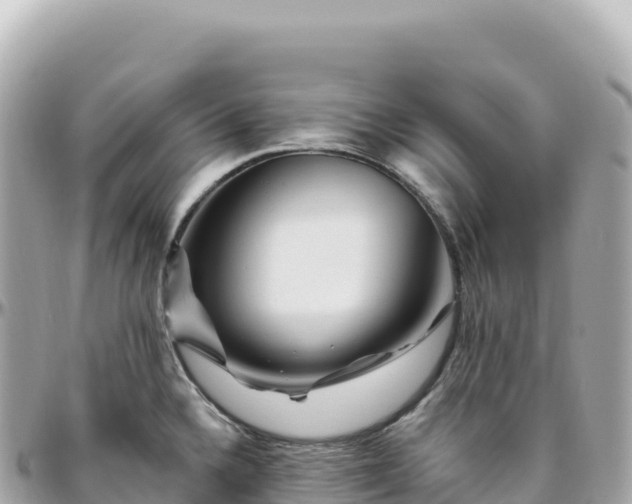 X0000095901336200801251216