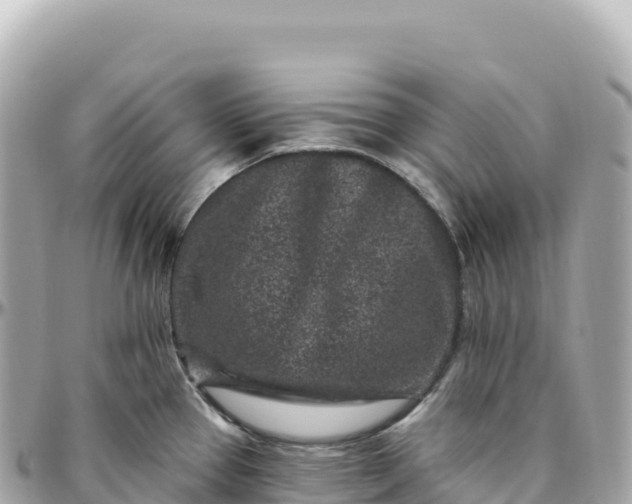 X0000095901337200801251216