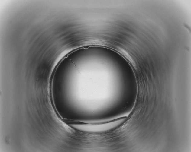 X0000095901339200801251216