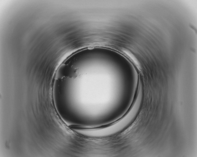 X0000095901340200801251216