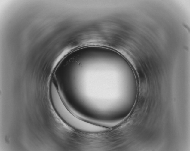 X0000095901341200801251216