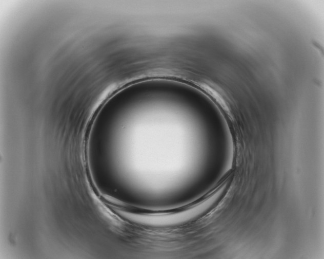 X0000095901342200801251216