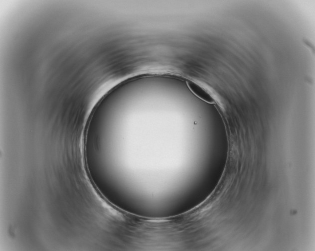 X0000095901343200801251216