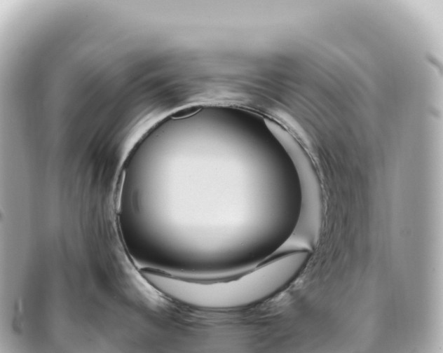 X0000095901344200801251216