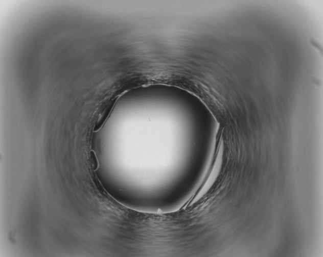 X0000095901345200801251215