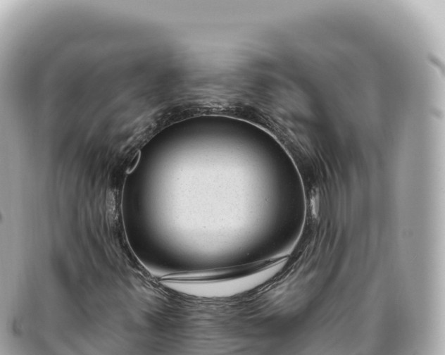 X0000095901347200801251215