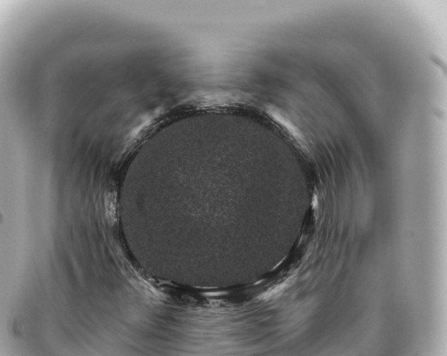 X0000095901348200801251215