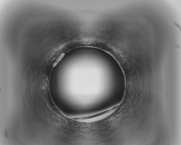 X0000095901349200801251215