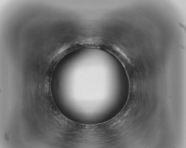 X0000095901350200801251215