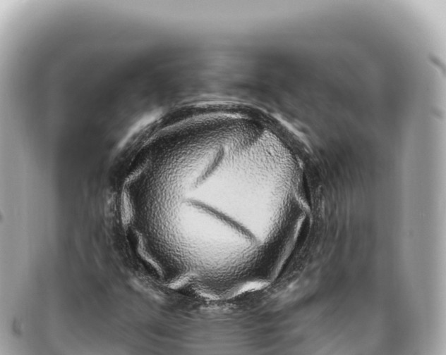 X0000095901351200801251215