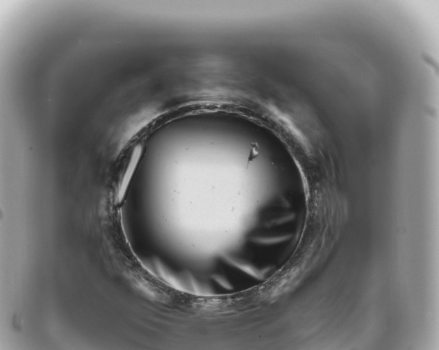 X0000095901352200801251215