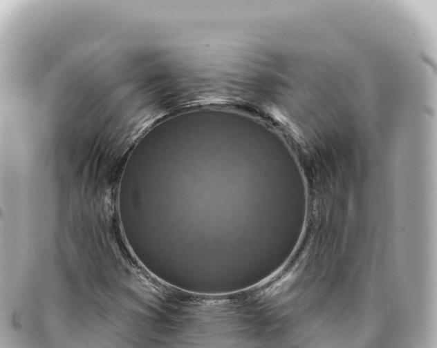 X0000095901353200801251215